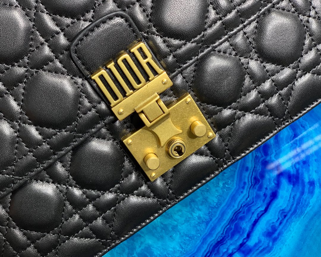 D10r Addict Chain bag
