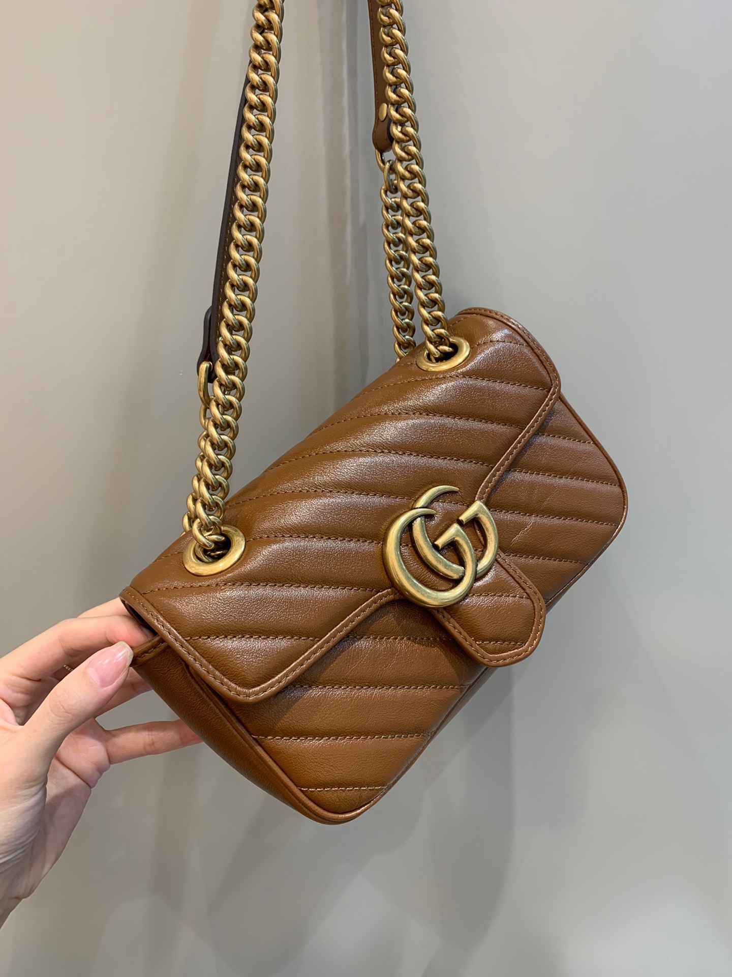 Gv*c1 marmont