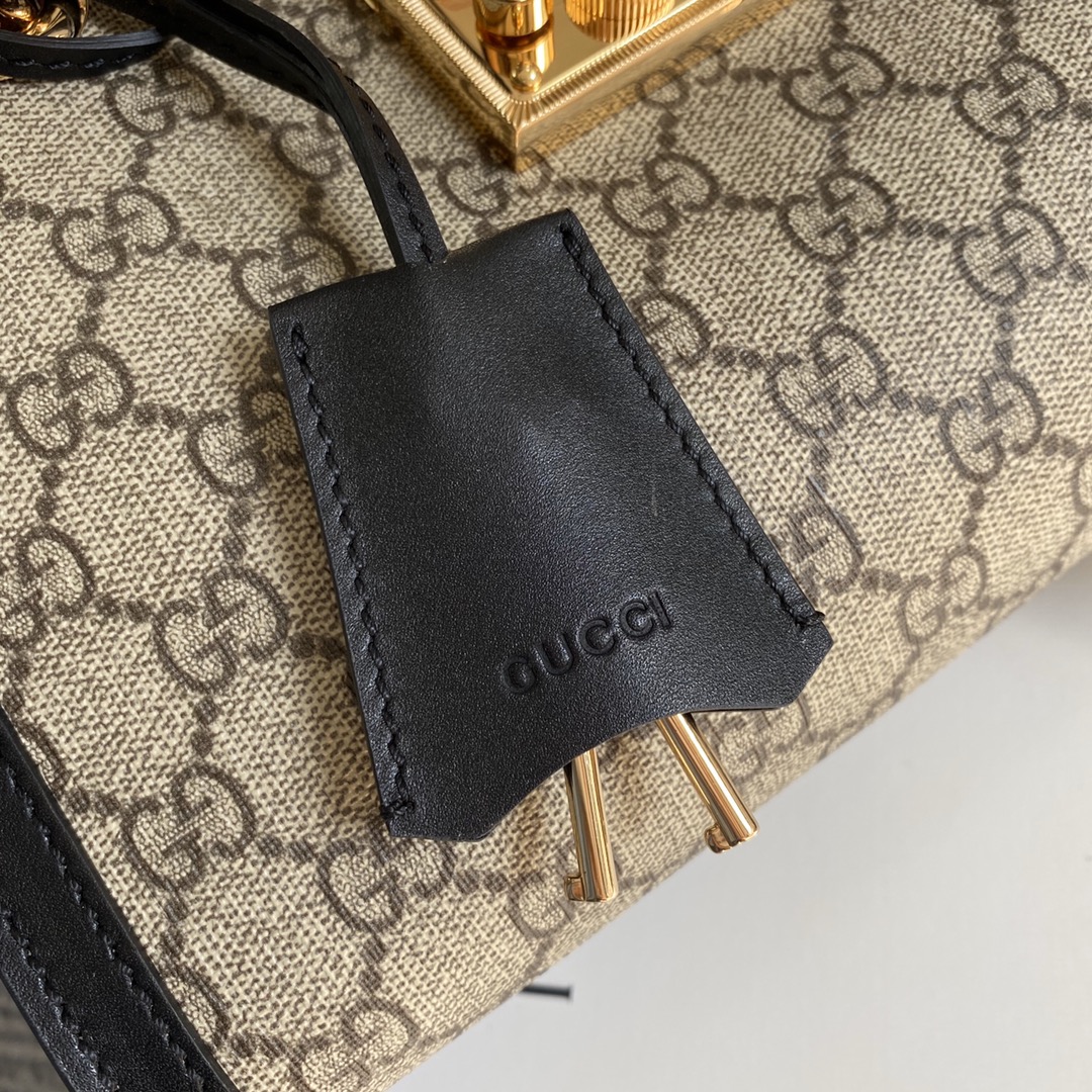 Gvc*1 Padlock Small Shoulder Bag