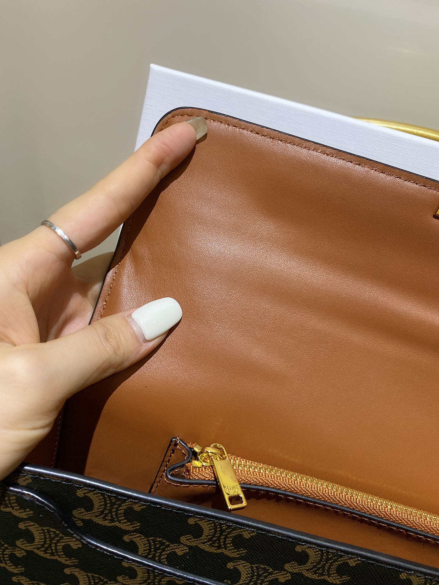 𝗖𝗘𝗟𝗜𝗡𝗘 Triomphe bag