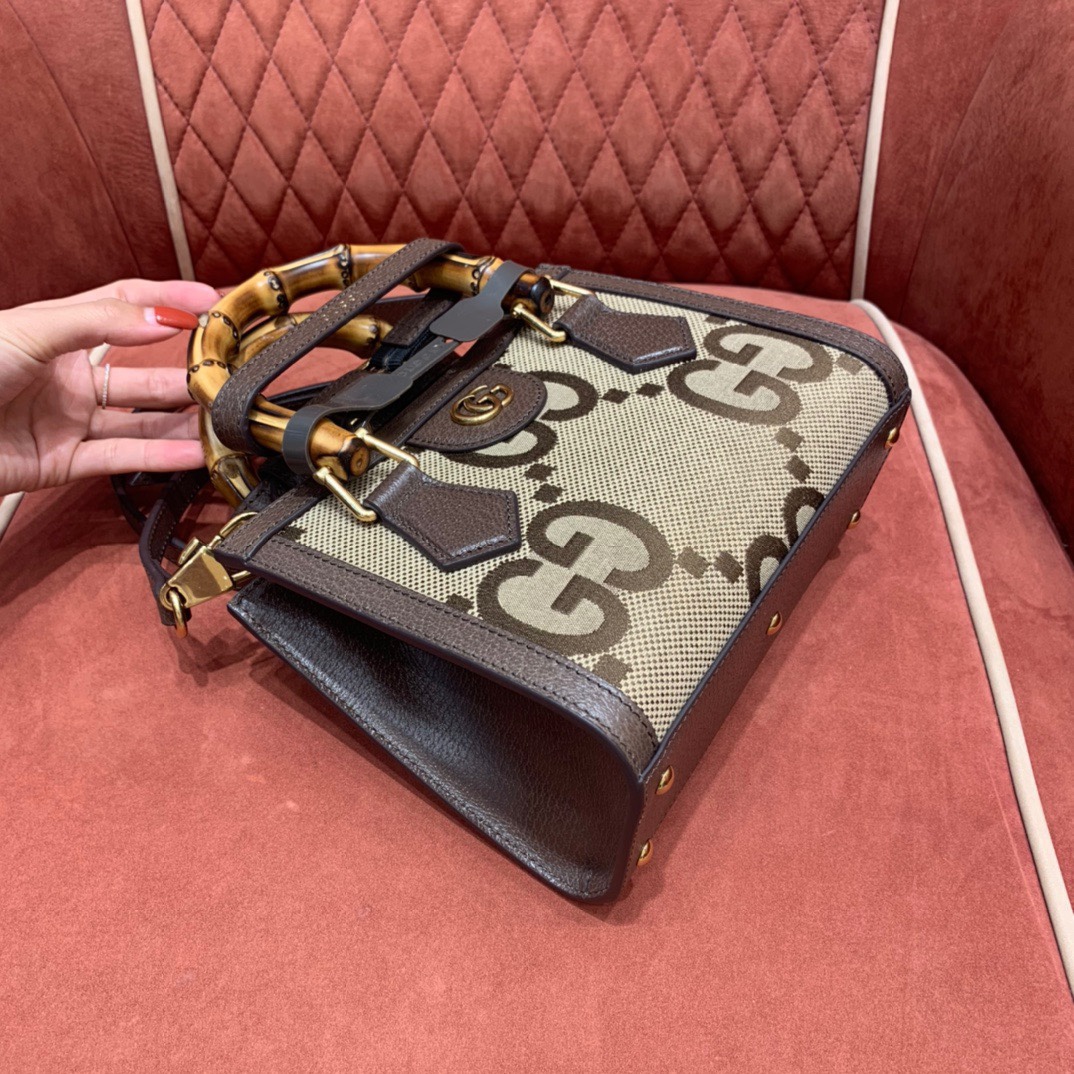 Diana mini tote bag
