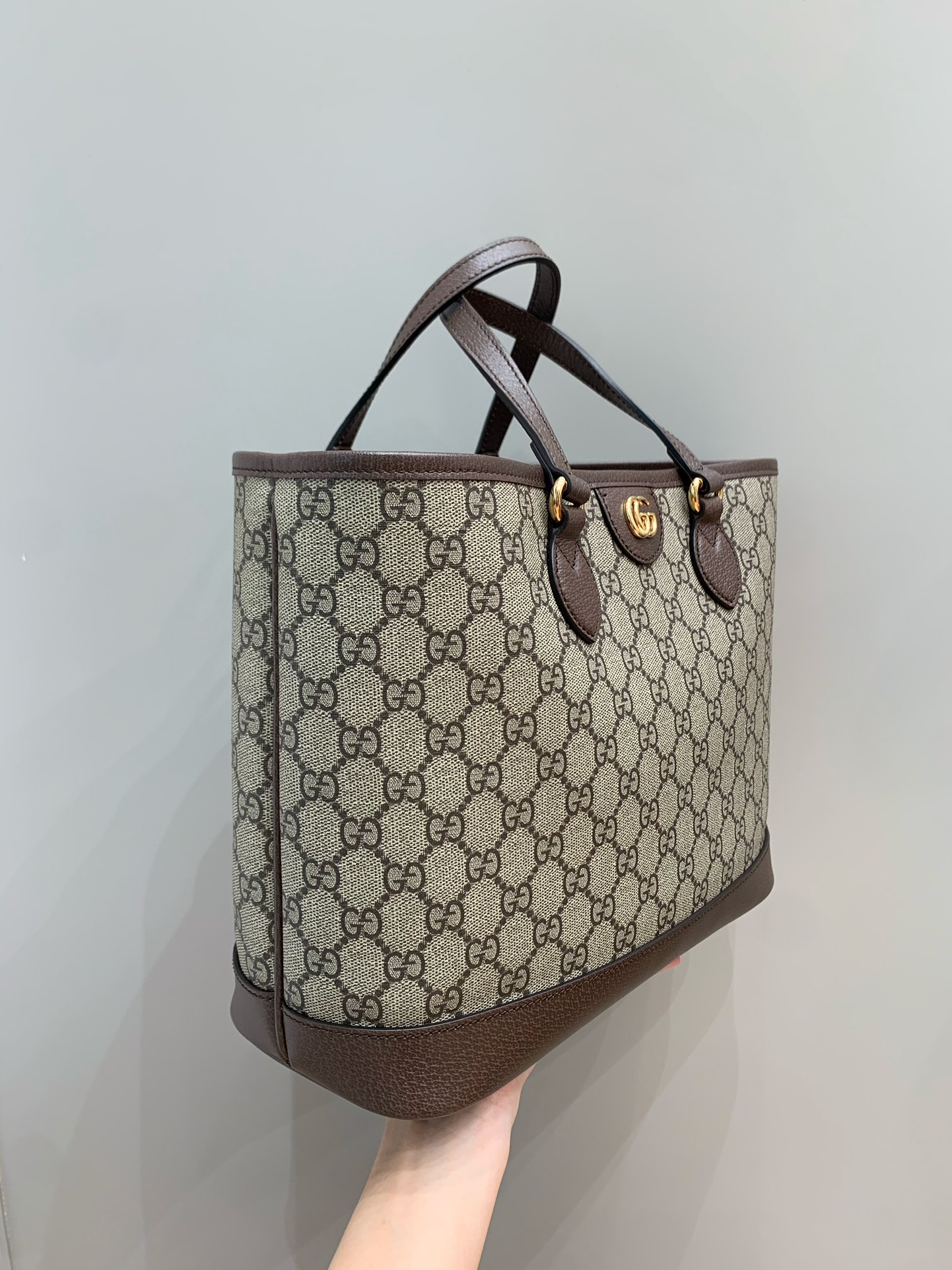 Ophidia mini tote bag