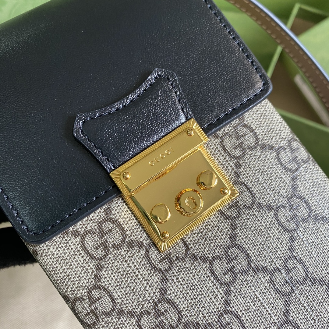 GG flap padlock