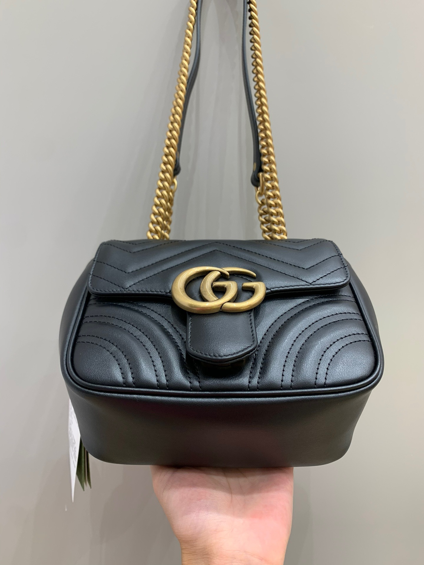 Gv*c1 marmont