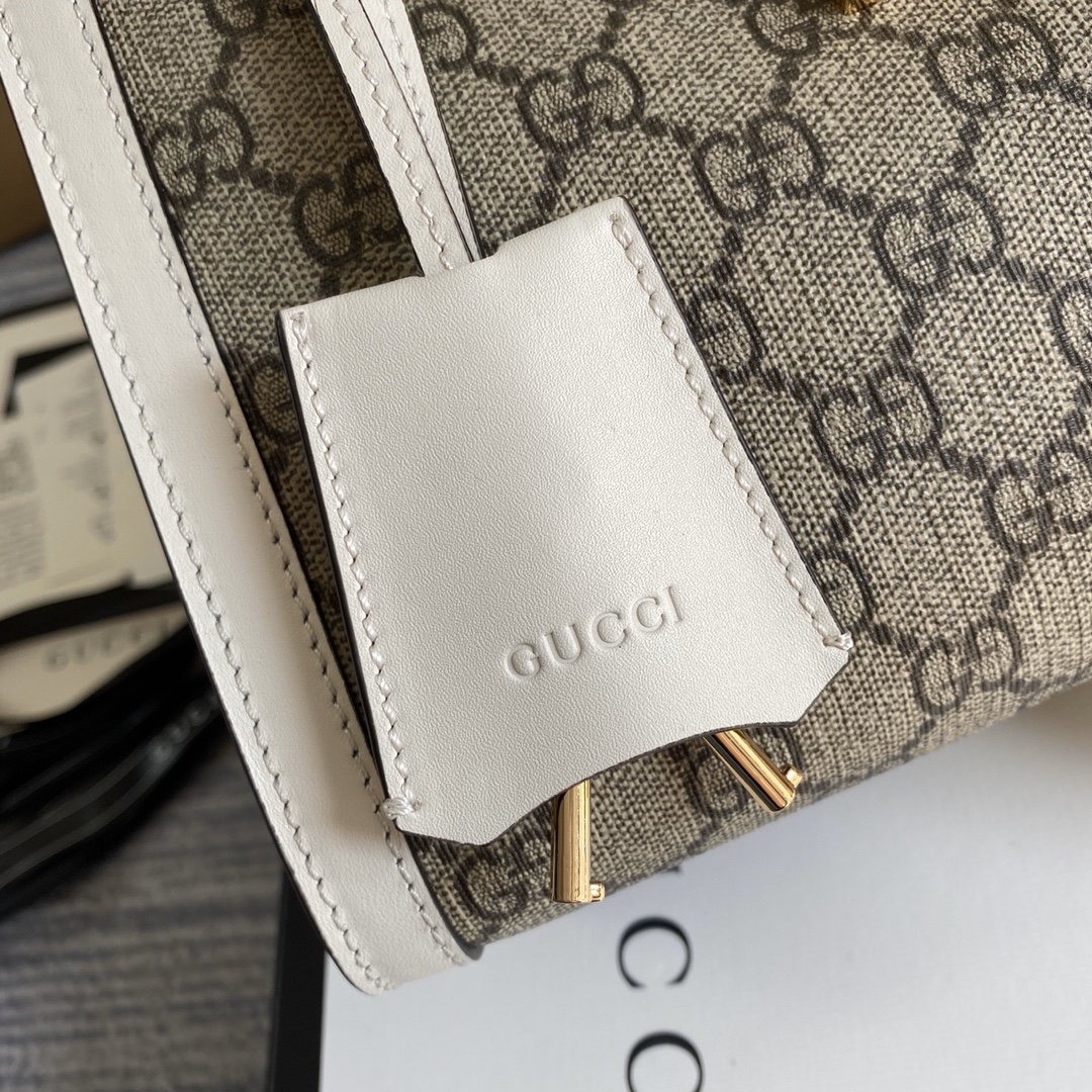 Gvc*1 Padlock Small Shoulder Bag