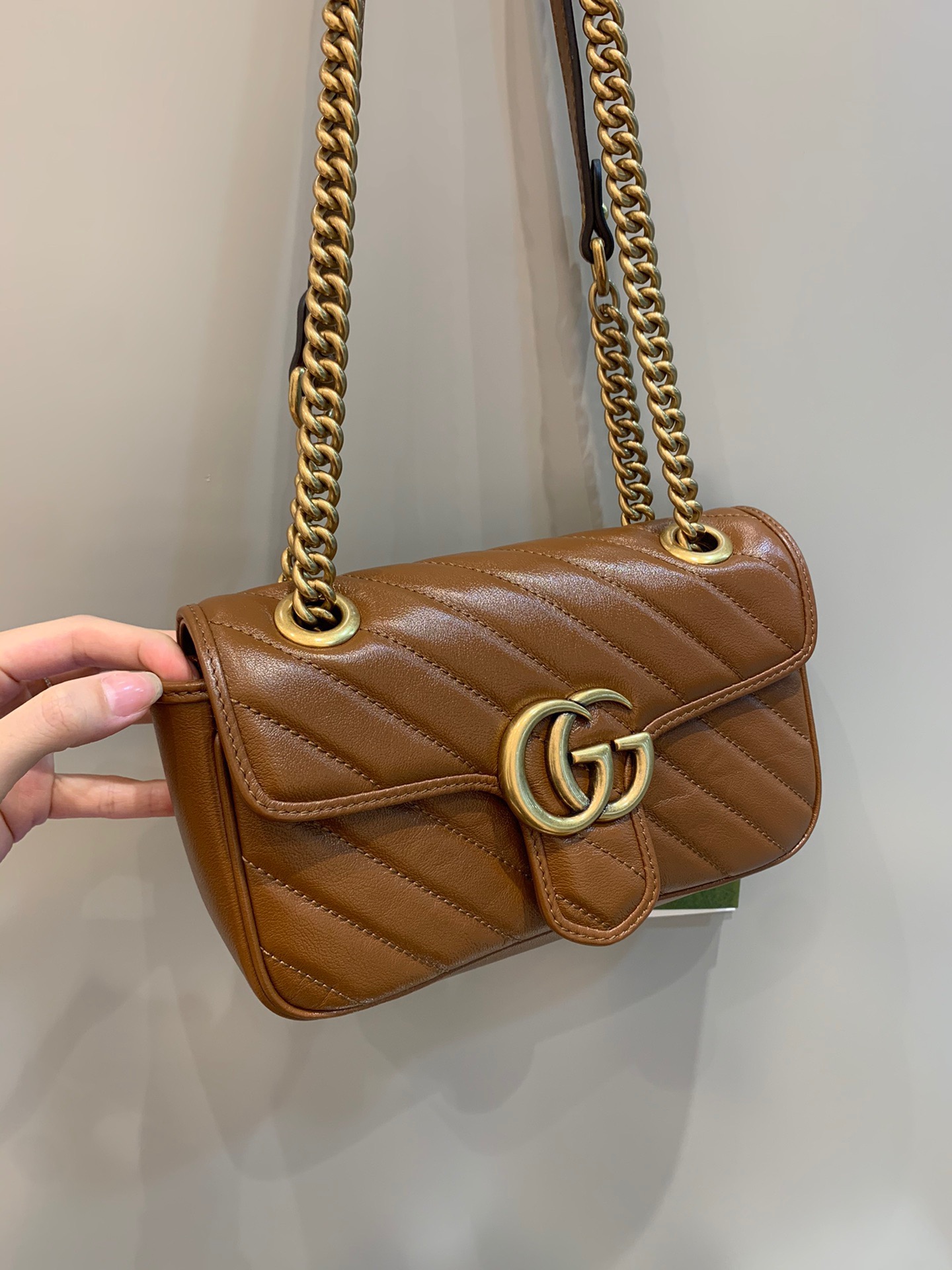 Gv*c1 marmont