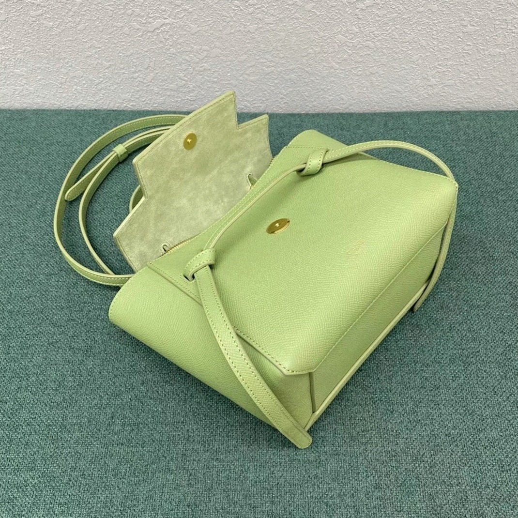 Ce1i*e Belt Nano Bag Fake in Sage