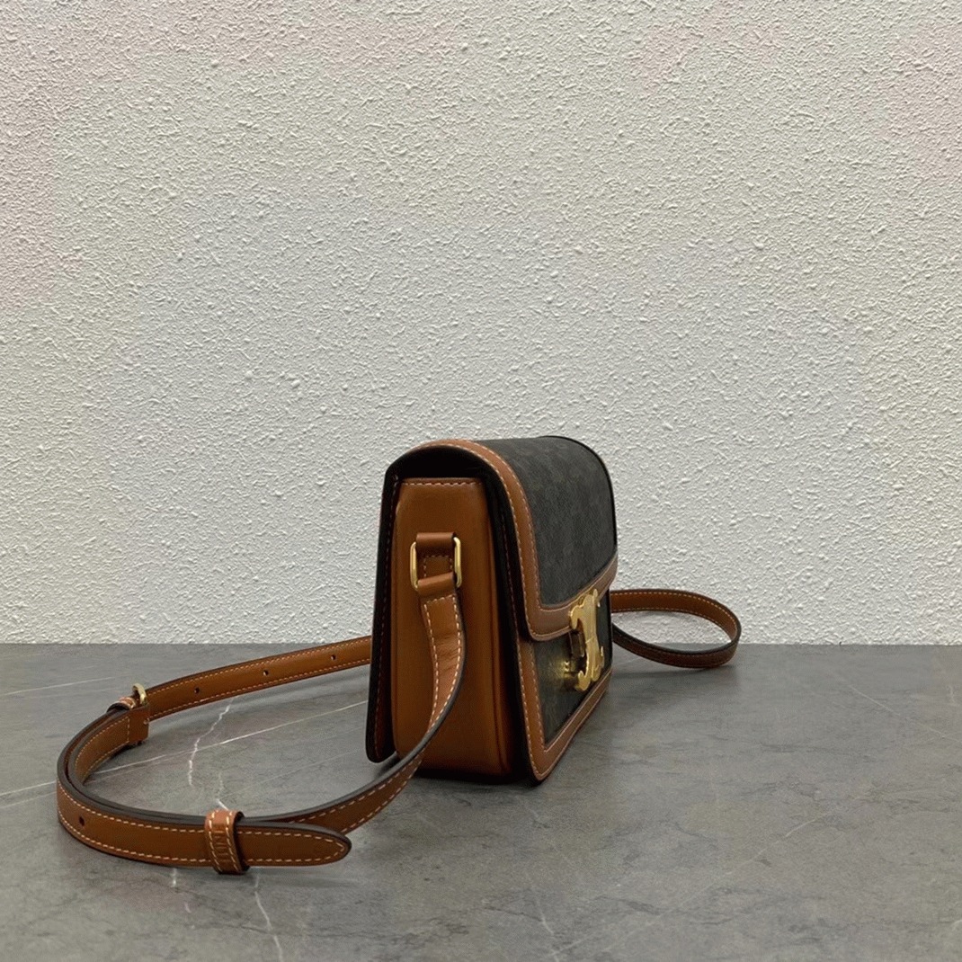 Top Quality Replica Ce1i*e Triomphe Teen Bag In Black Triomphe Canvas