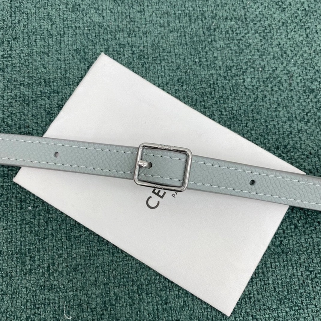 Ce1i*e Belt Nano Bag Replica in Mineral