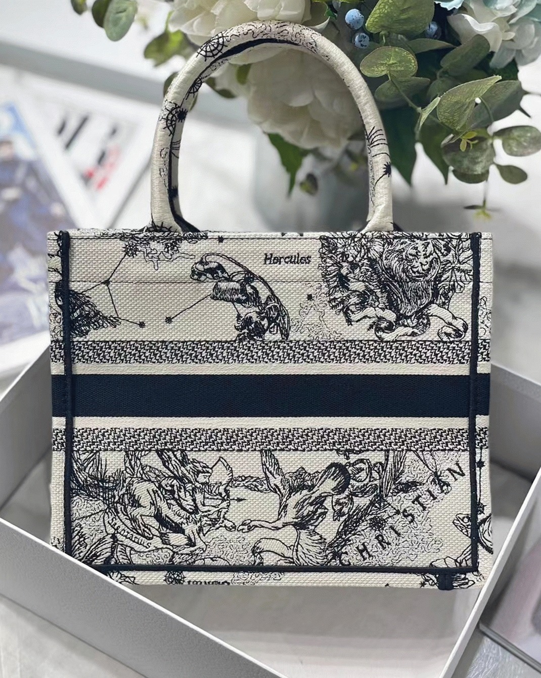 D10r Small Book Tote Bag Faux in White Toile de Jouy Zodiac Embroidery