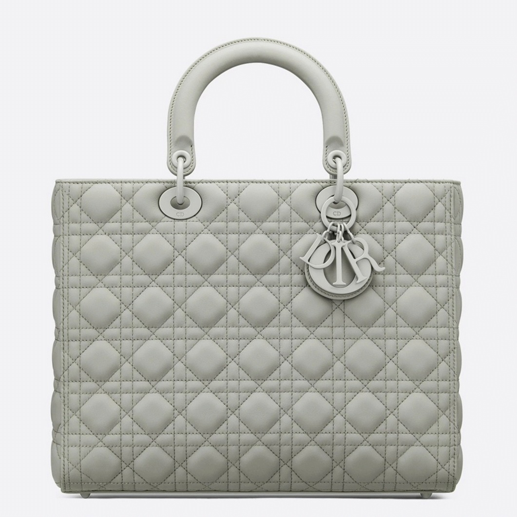 D10r Lady D10r Large Bag Fake in Grey
