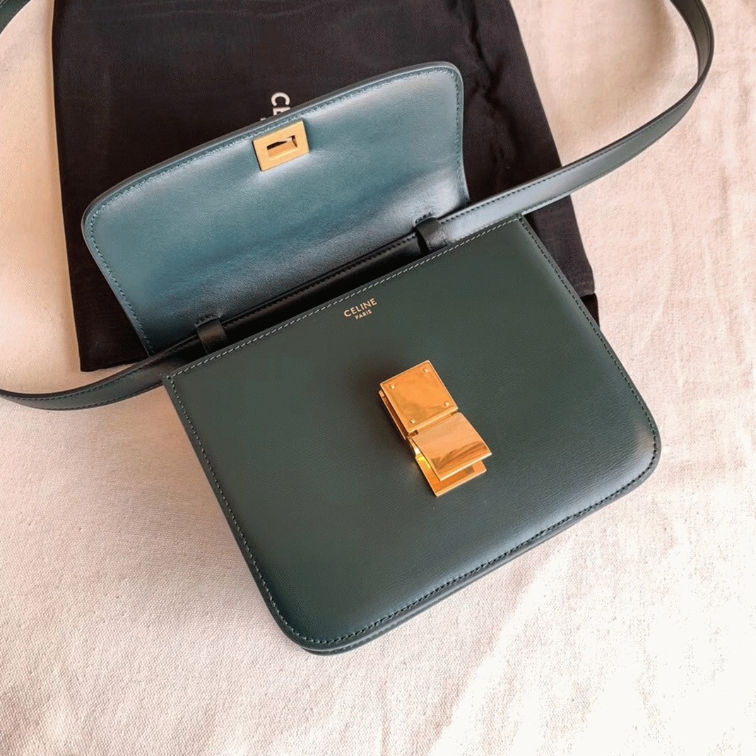 Top Quality Fake Ce1i*e Classic Box Teen Bag In Amazone