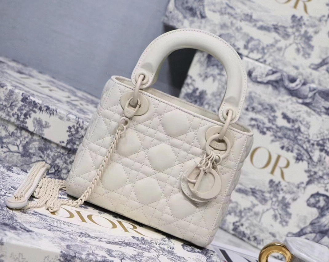 D10r Lady D10r Mini Chain Bag Fake in White