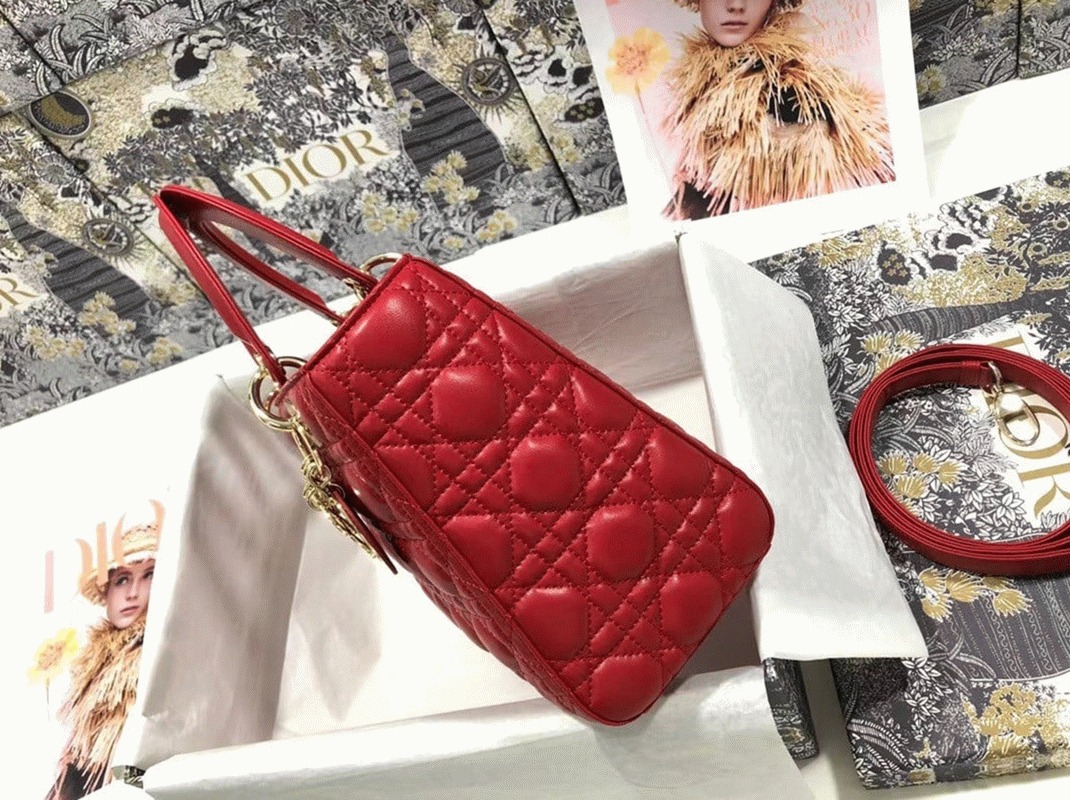 D10r Lady D10r Medium Bag Faux in Red