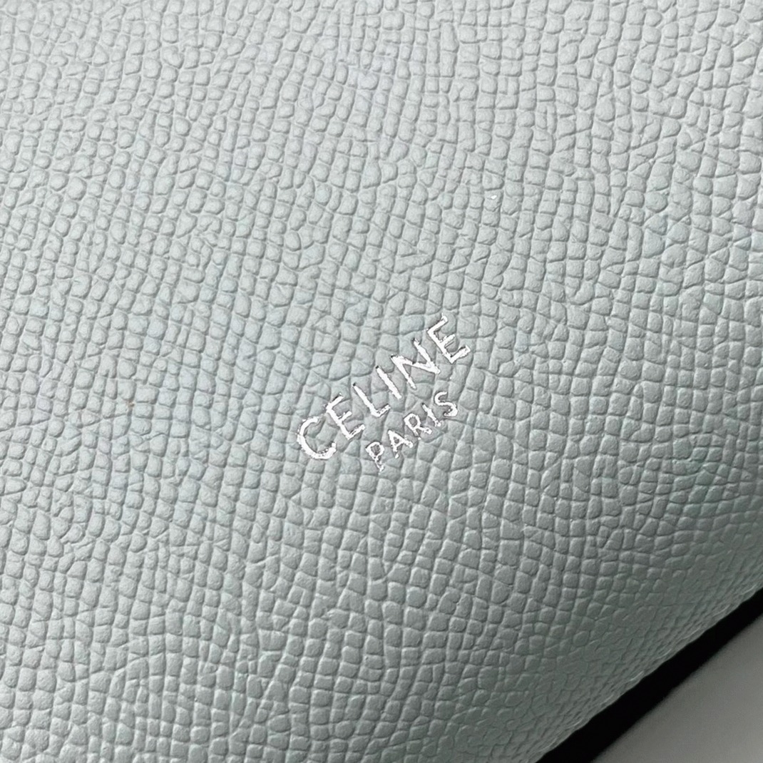 Ce1i*e Belt Nano Bag Replica in Mineral