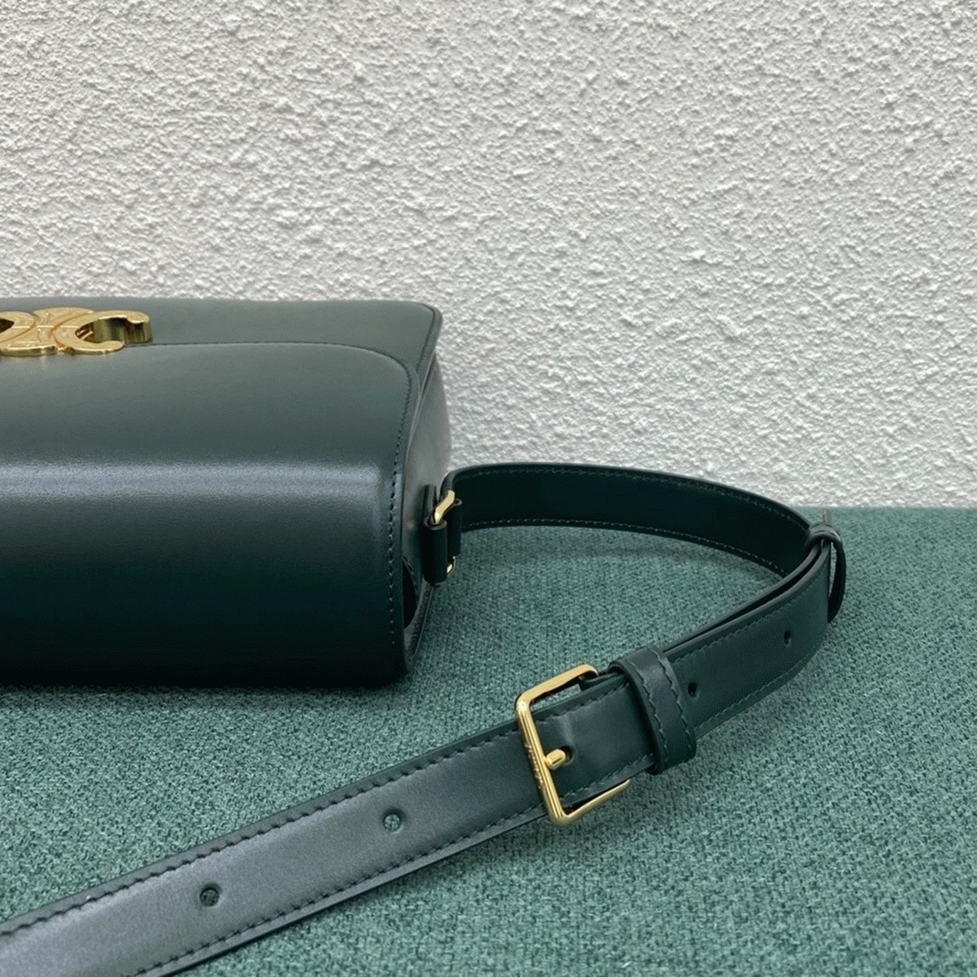 Top Quality Fake Ce1i*e Triomphe Large Bag In Amazone