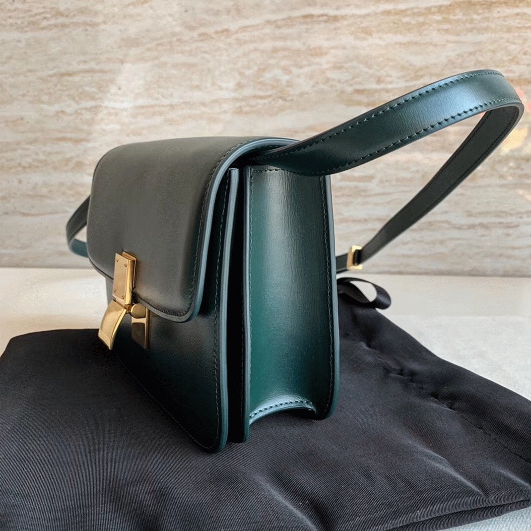 Top Quality Fake Ce1i*e Classic Box Teen Bag In Amazone