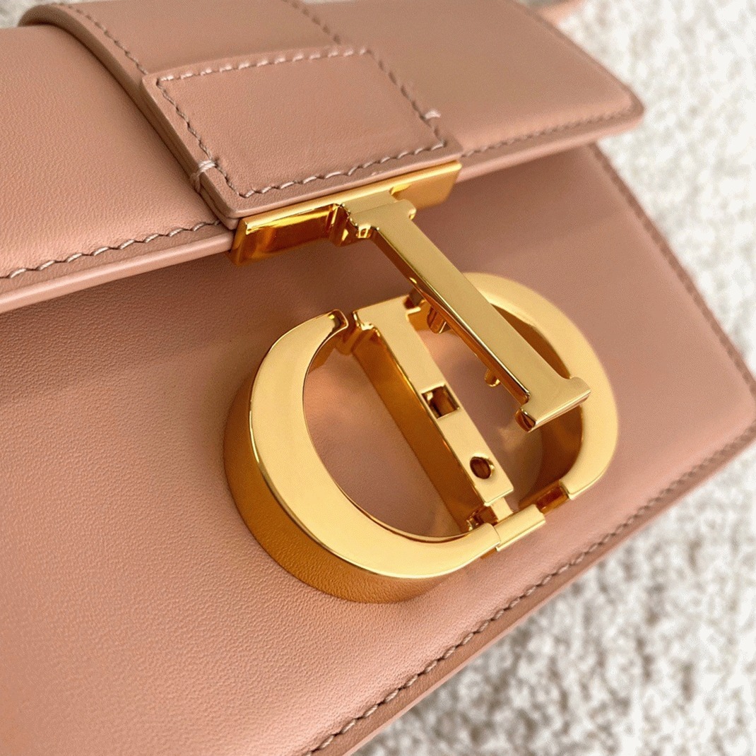 D10r 30 Montaigne Micro Bag Replica in Poudre Box Calfskin