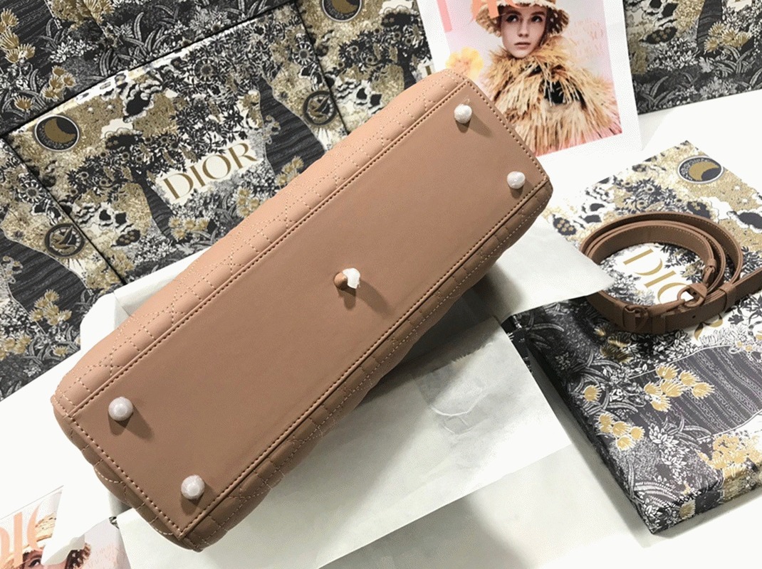 D10r Lady D10r Large Bag Knockoff in Blush