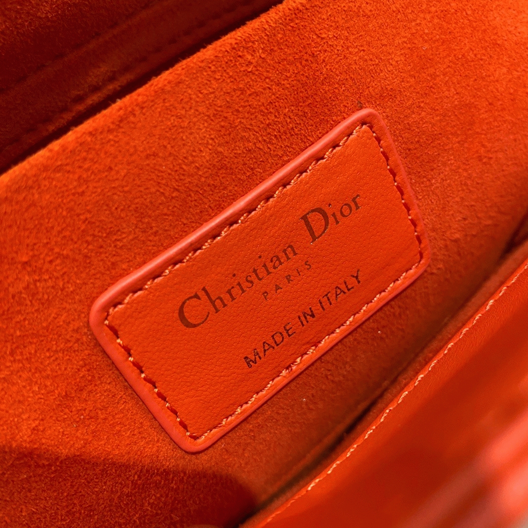 D10r Lady D-Joy Medium Bag Replica in Orange