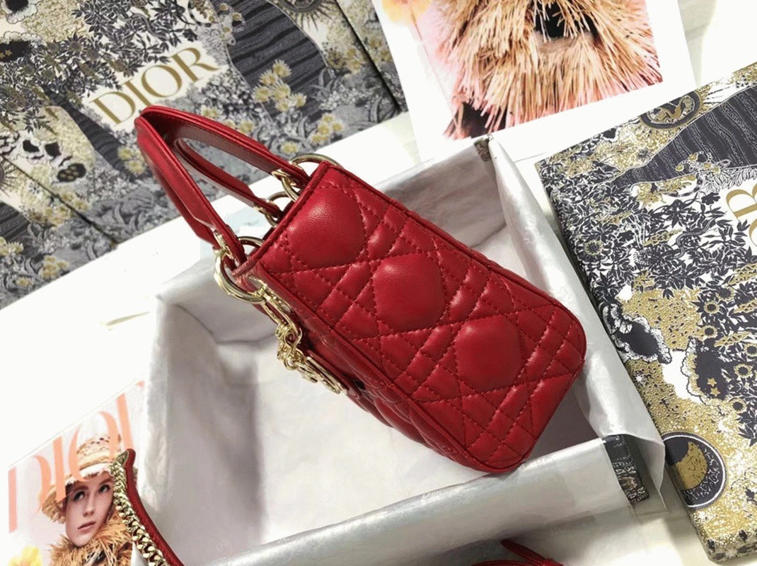 D10r Lady D10r Mini Bag Knockoff in Red