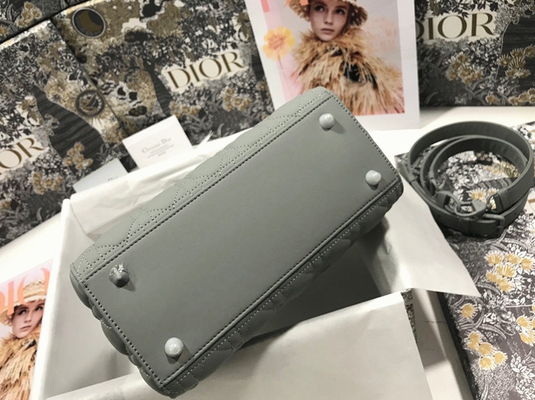 D10r Lady D10r Medium Bag Replica in Grey