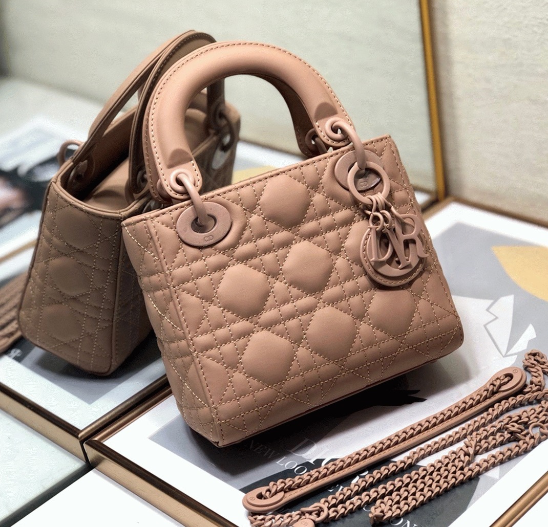 D10r Lady D10r Mini Chain Bag Replica in Blush