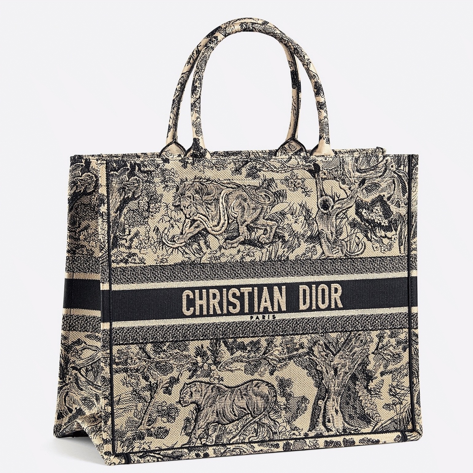 D10r Large Book Tote Bag Imitation in Blue Toile de Jouy Embroidery