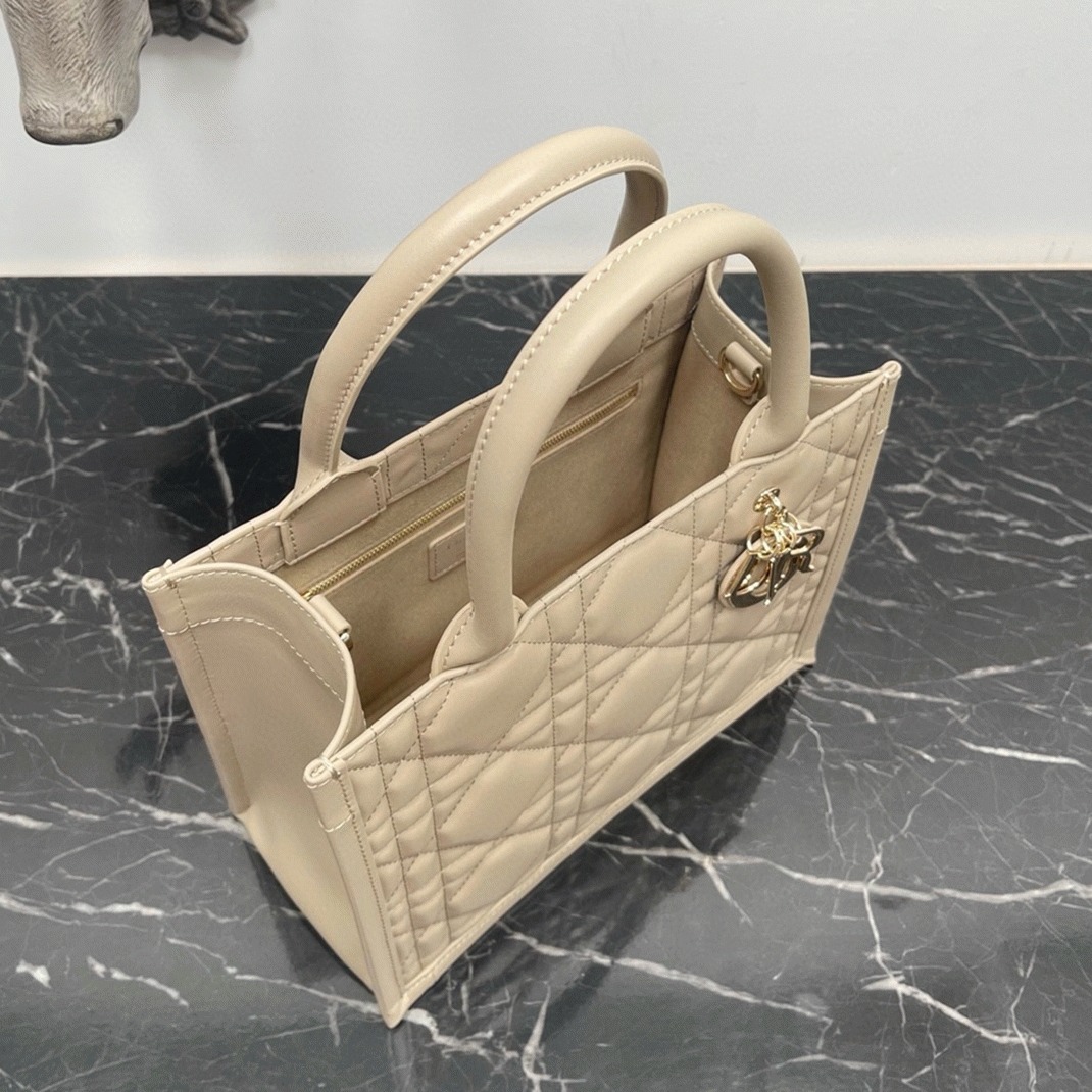 D10r Small Book Tote Bag Replica with Strap in Beige