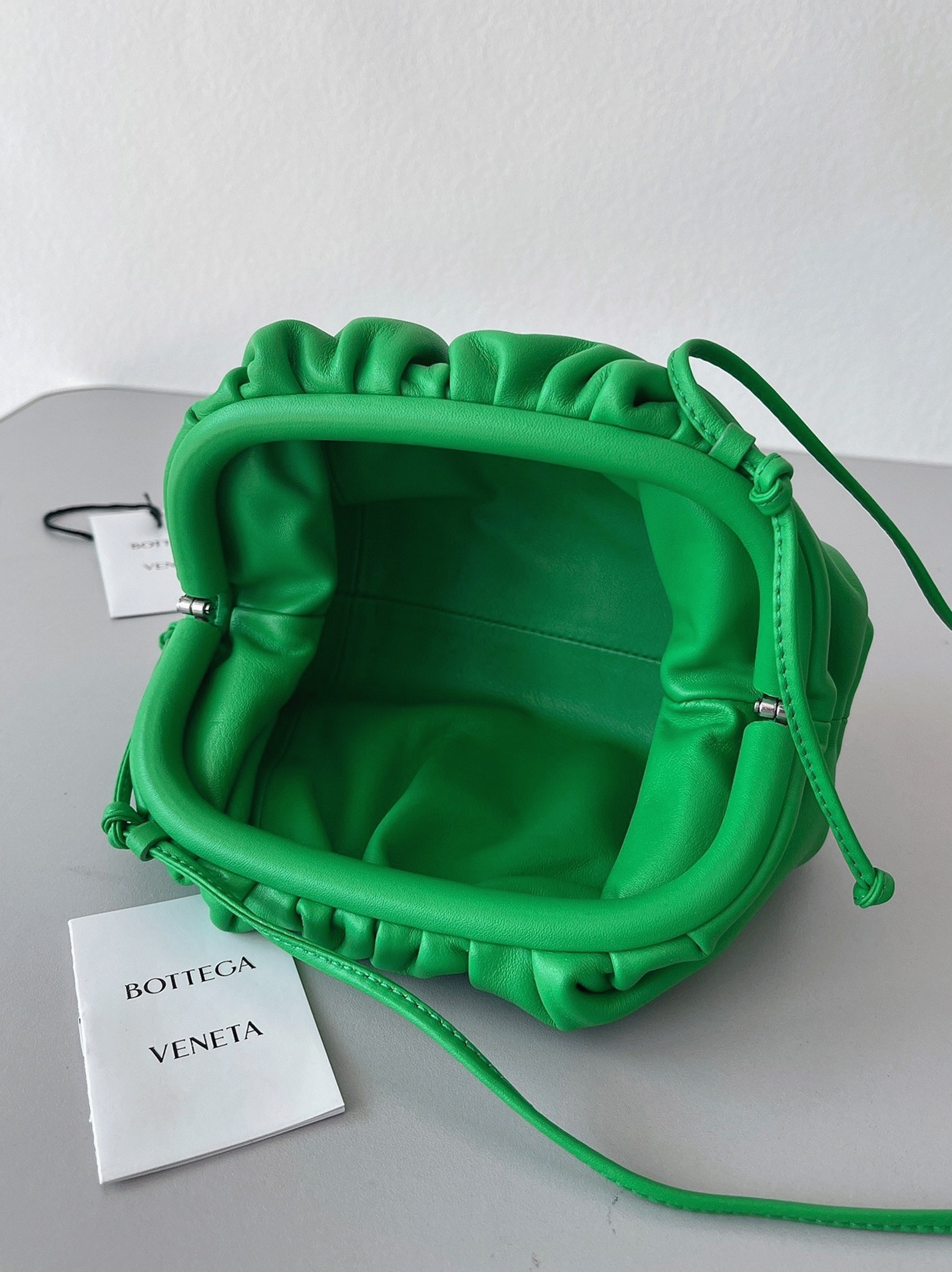 Fake B0tt*ga Ven*ta Mini Pouch with Strap Parakeet