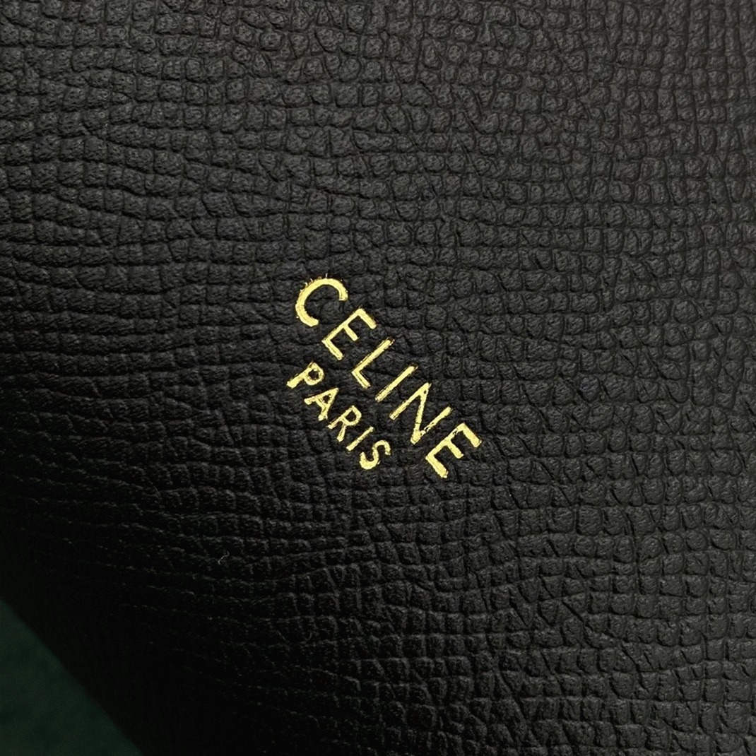Ce1i*e Micro Belt Bag Fake in Black