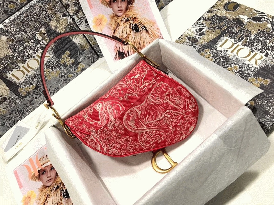 D10r Saddle Bag Imitation in Red Toile de Jouy Reverse Jacquard