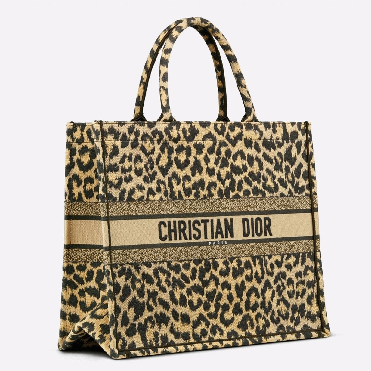 D10r Large Book Tote Bag Fake in Beige Multicolor Mizza Embroidery