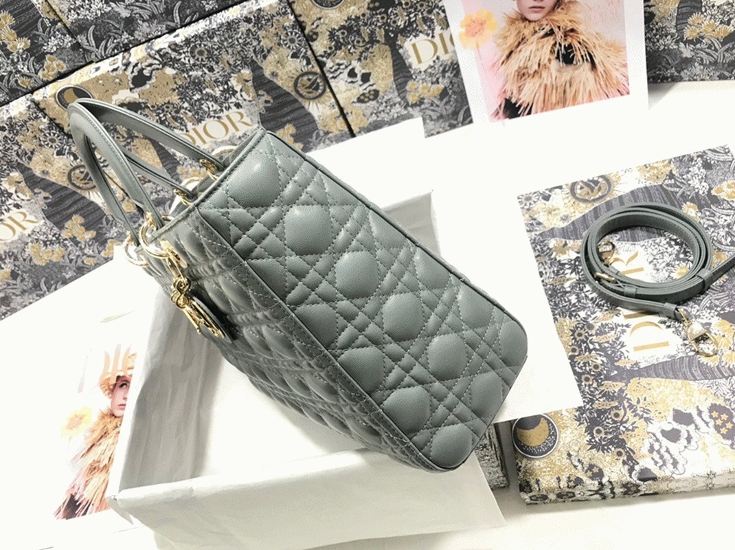 D10r Lady D10r Large Bag Replica in Grey