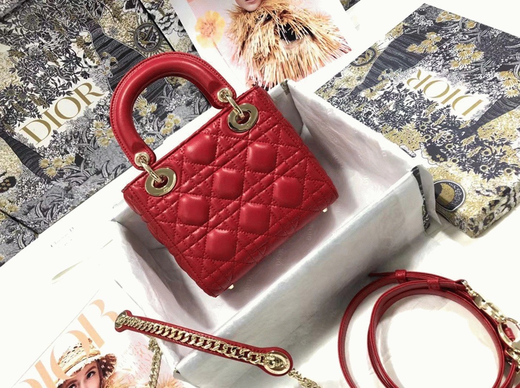 D10r Lady D10r Mini Bag Knockoff in Red
