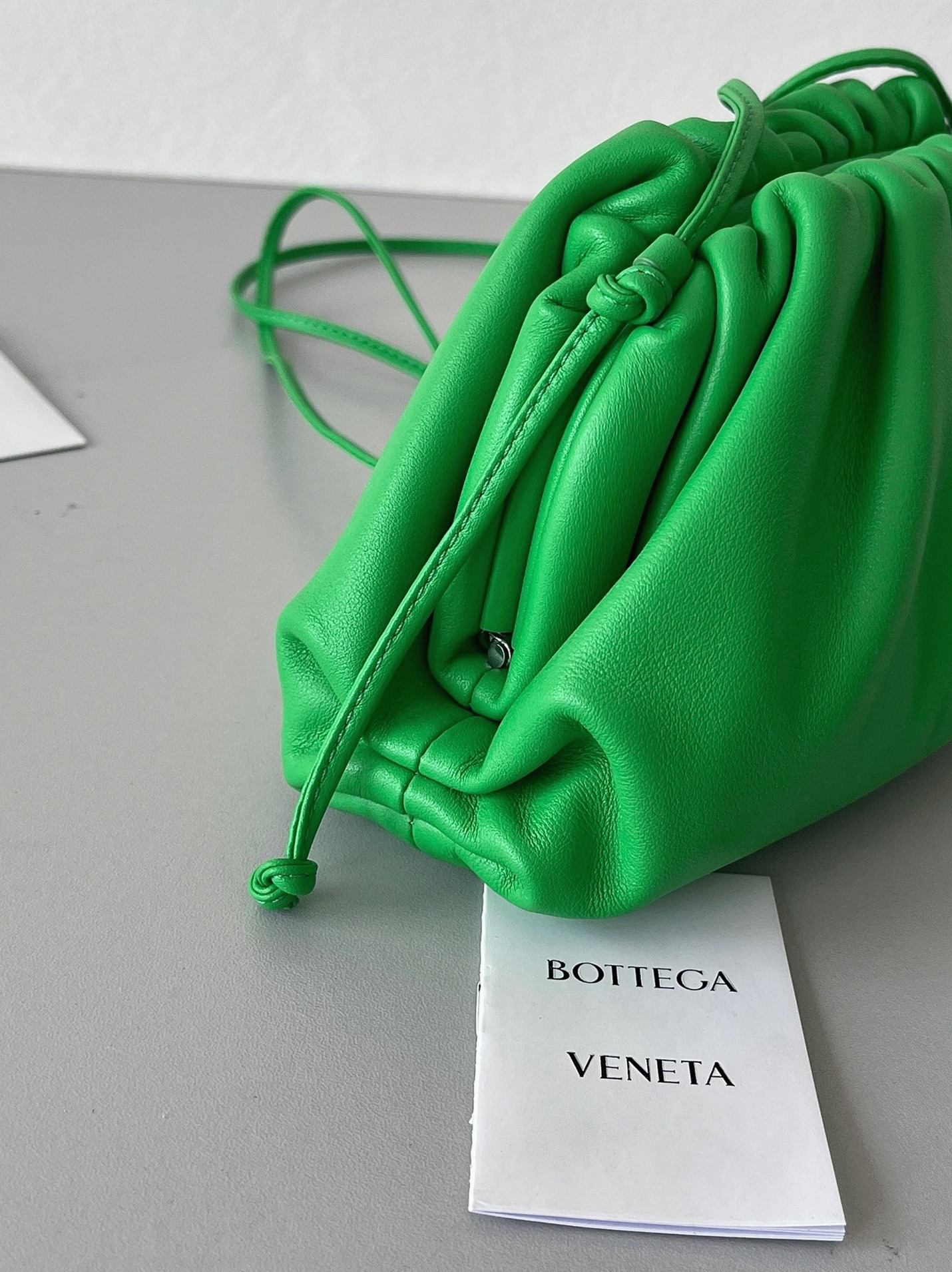 Fake B0tt*ga Ven*ta Mini Pouch with Strap Parakeet