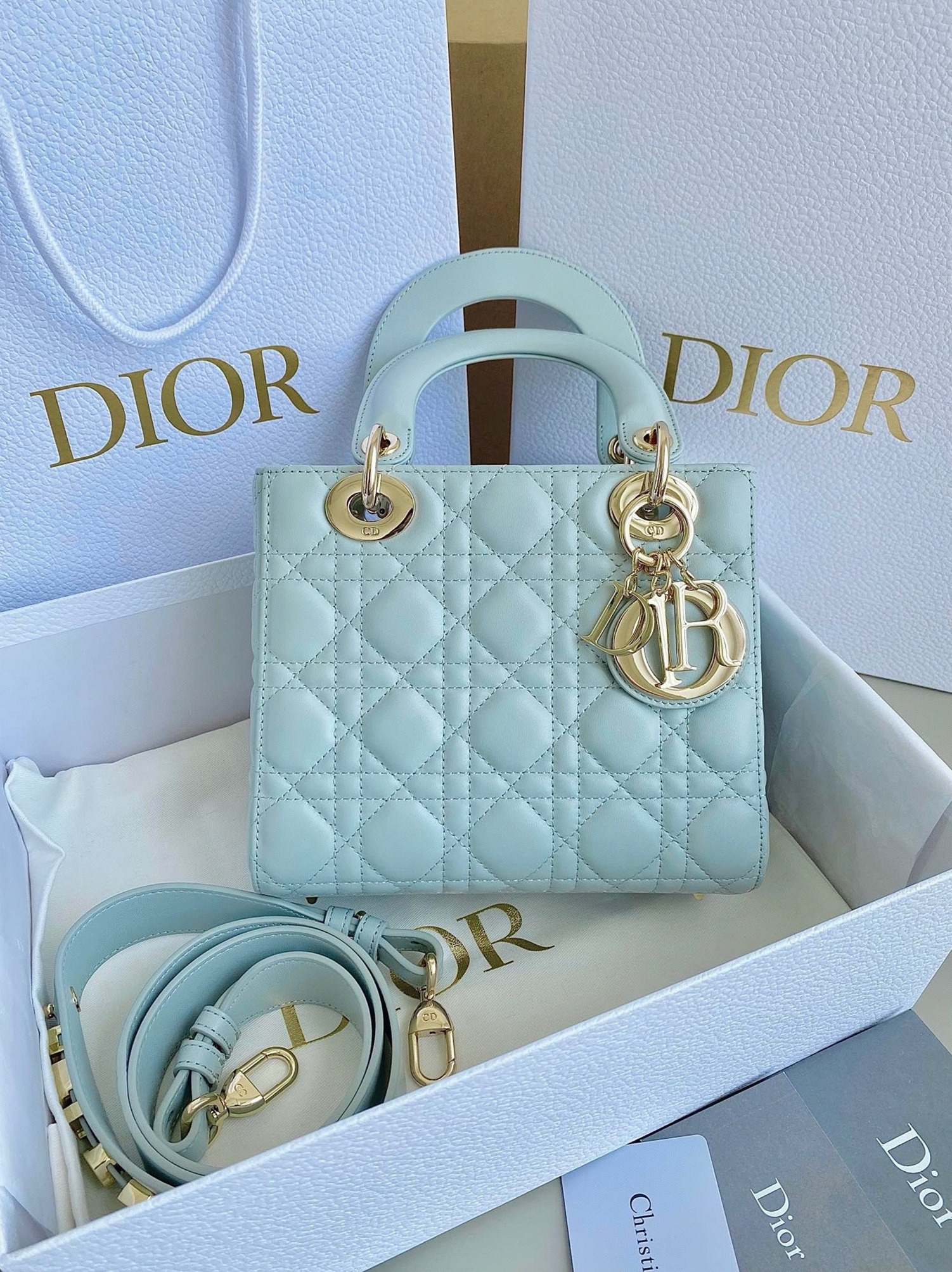 D10r Small Lady D10r My ABCD10r Bag Replica in Placid Blue