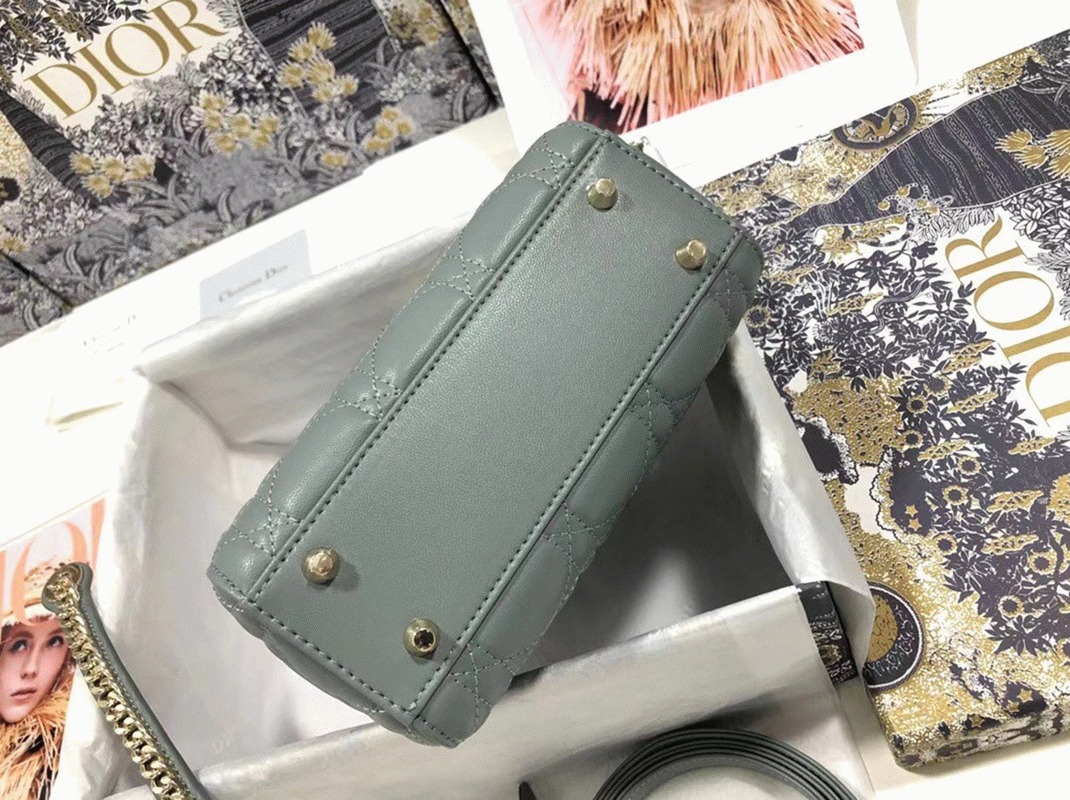 D10r Lady D10r Mini Bag Replica in Grey