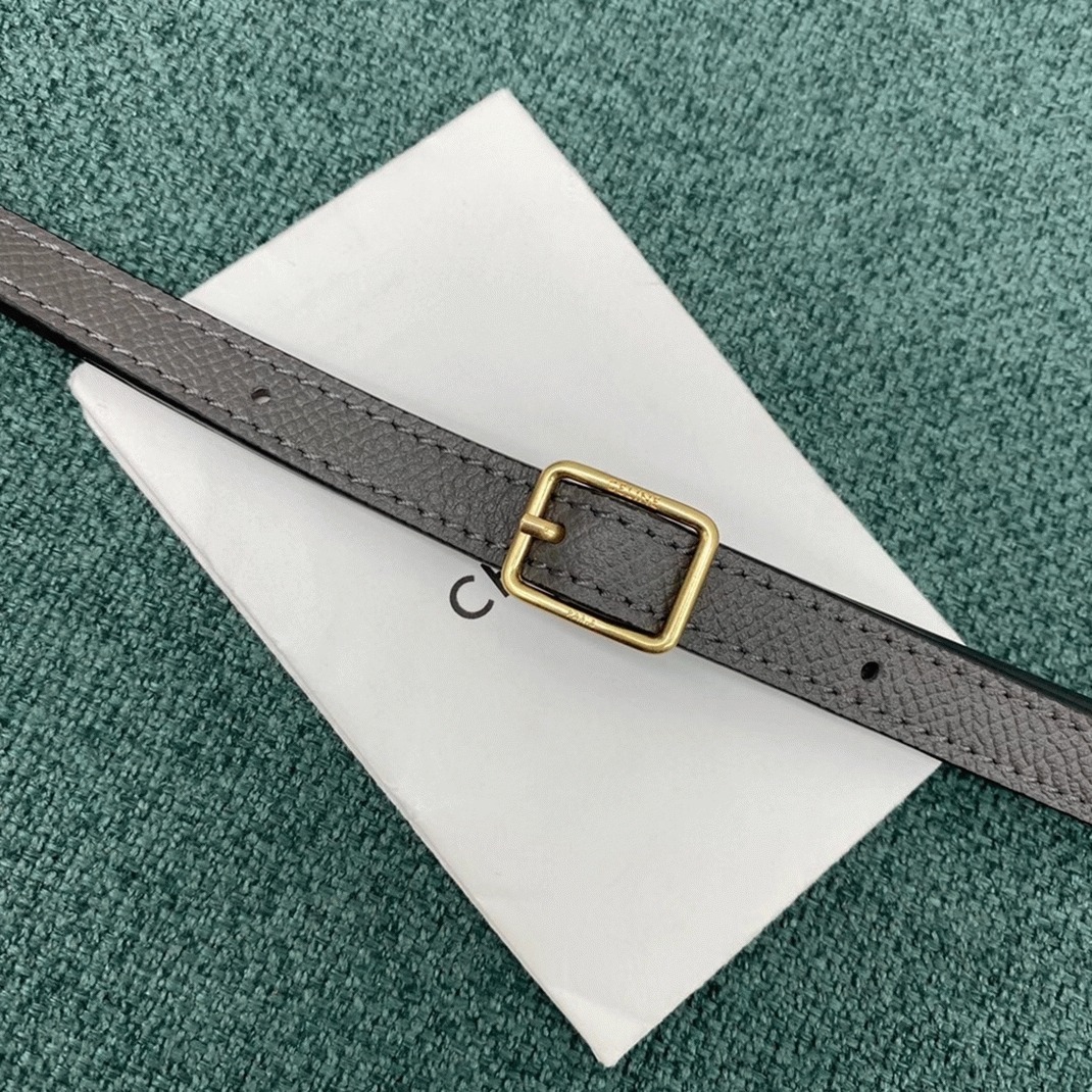Ce1i*e Belt Nano Bag Fake in Grey