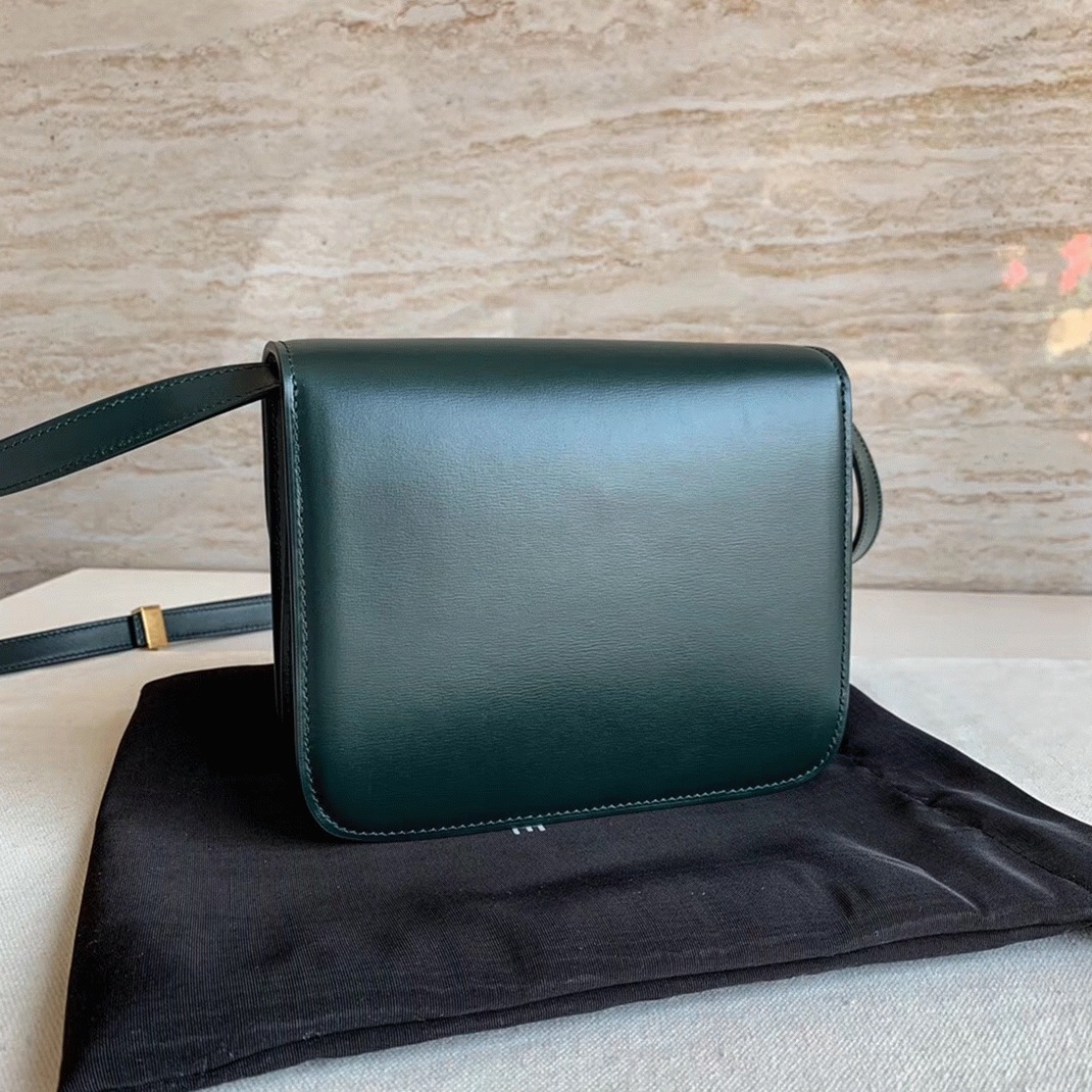 Top Quality Fake Ce1i*e Classic Box Teen Bag In Amazone