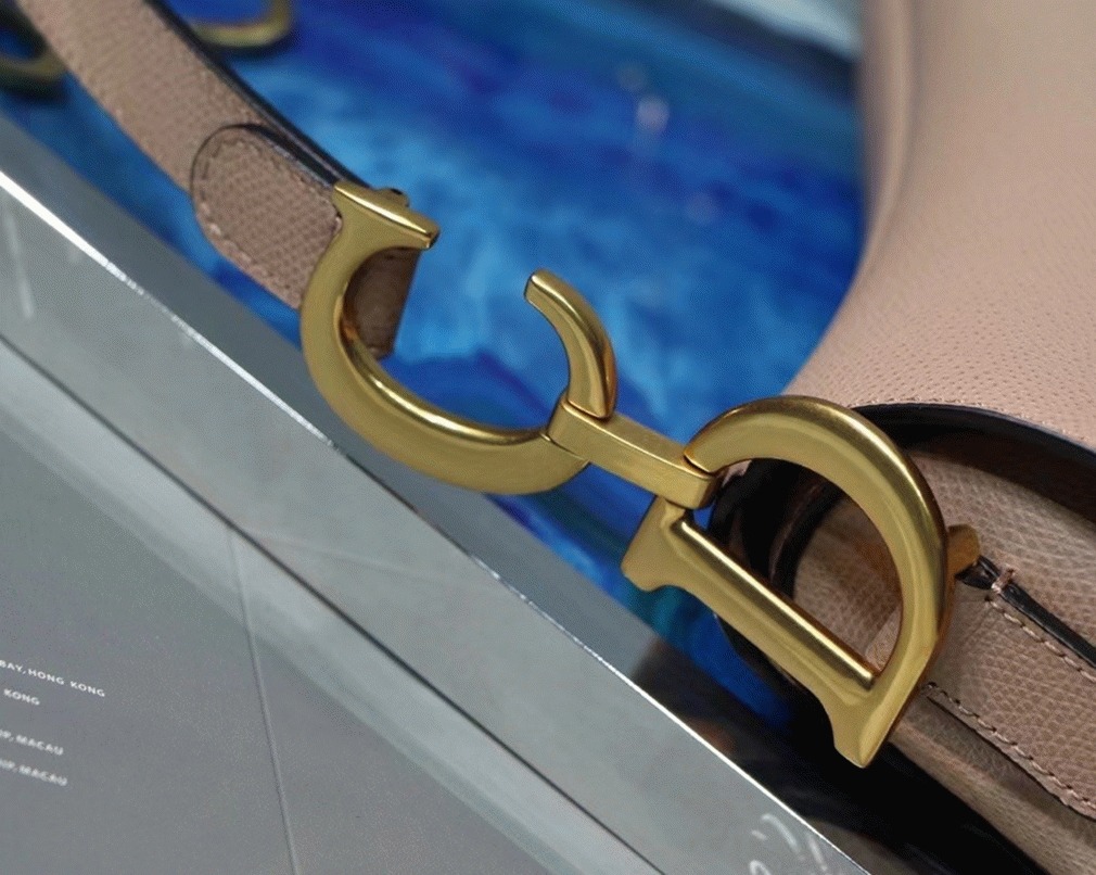 D10r Saddle Bag Fake in Blush Grained Calfskin