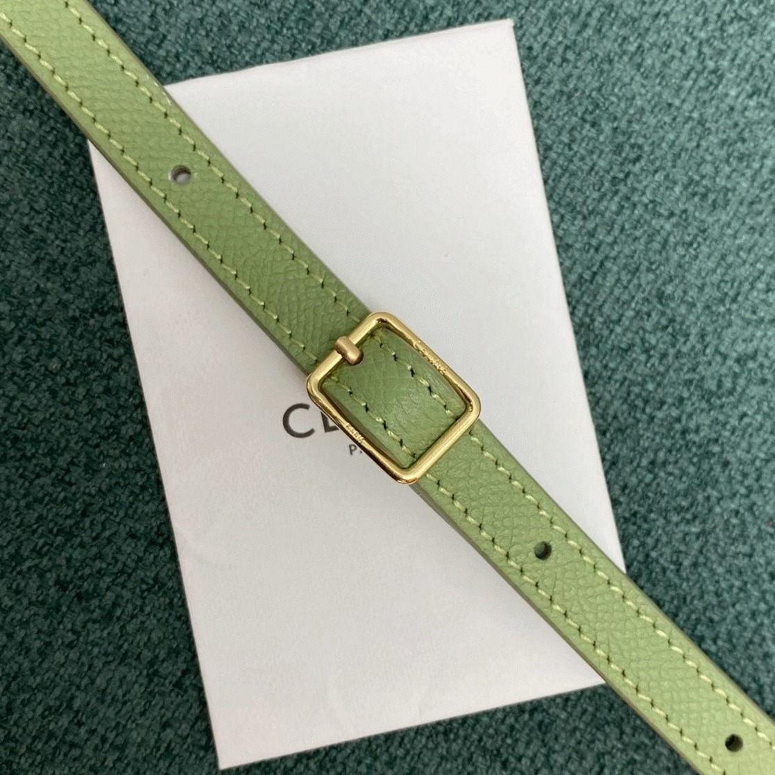 Ce1i*e Belt Nano Bag Fake in Sage