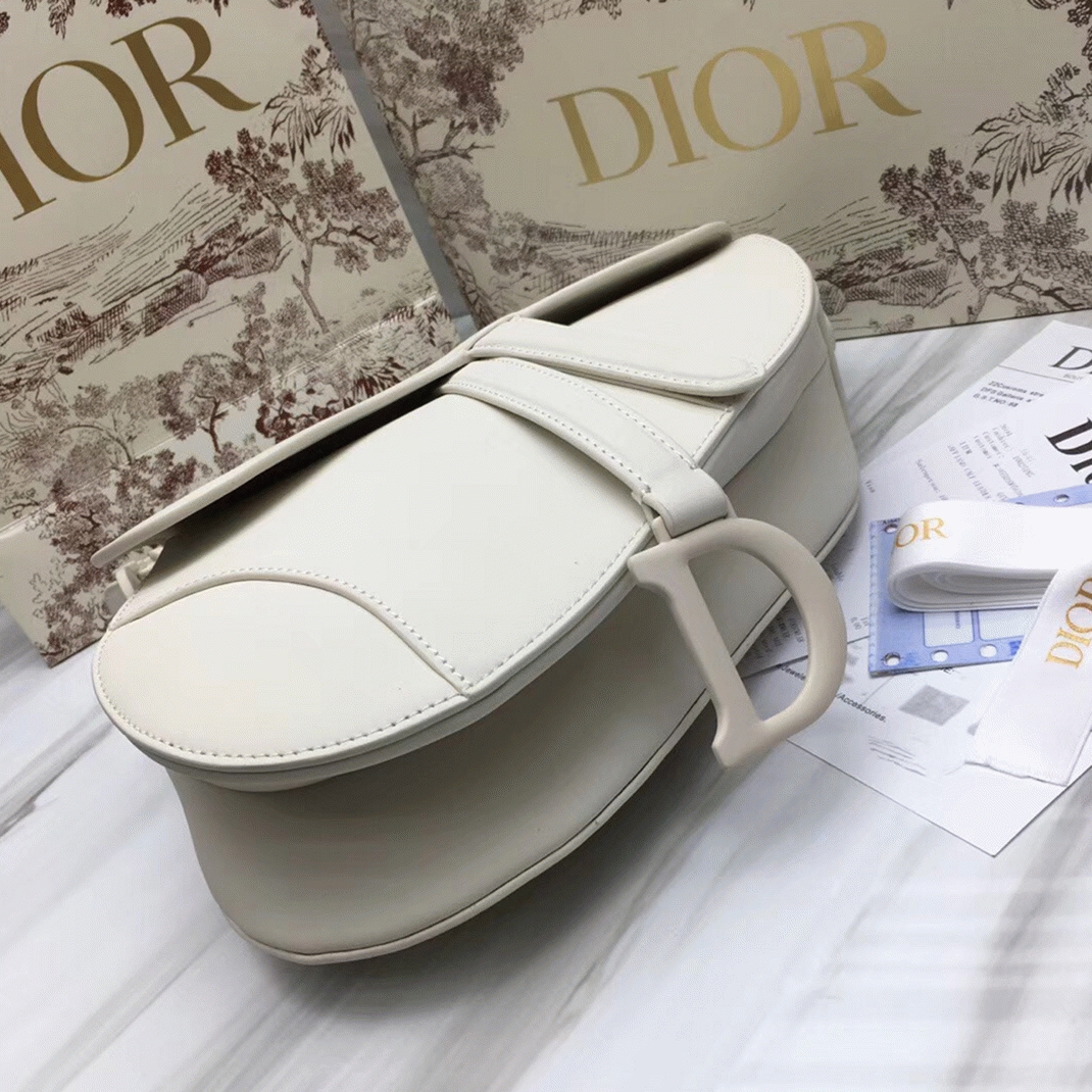 D10r Saddle Bag Fake in White Ultramatte Calfskin