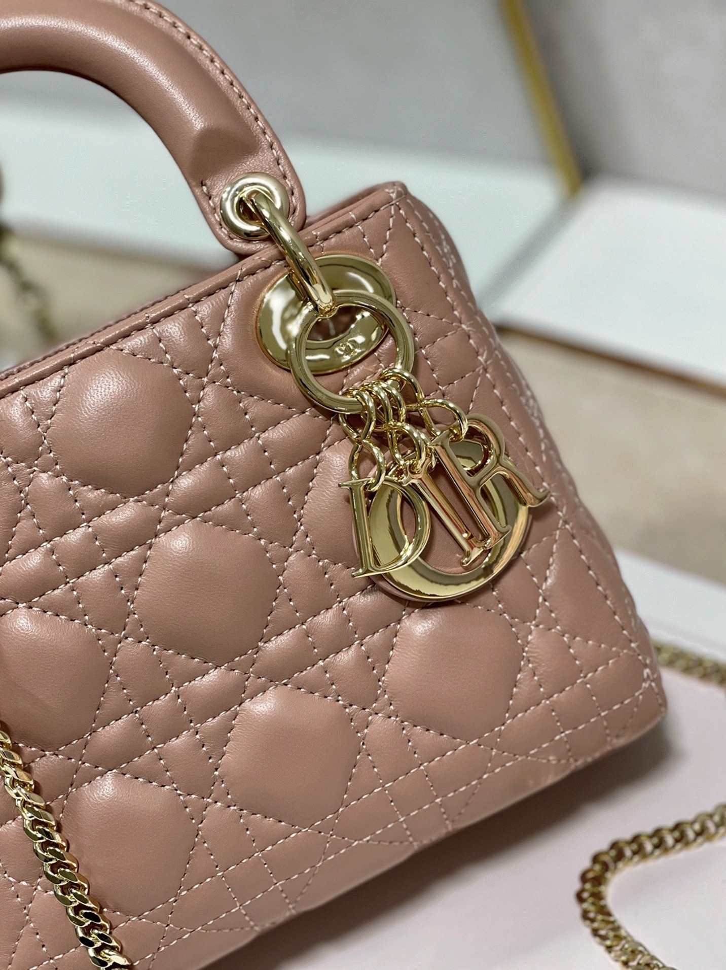 D10r Lady D10r Mini Bag Replica with Chain in Blush