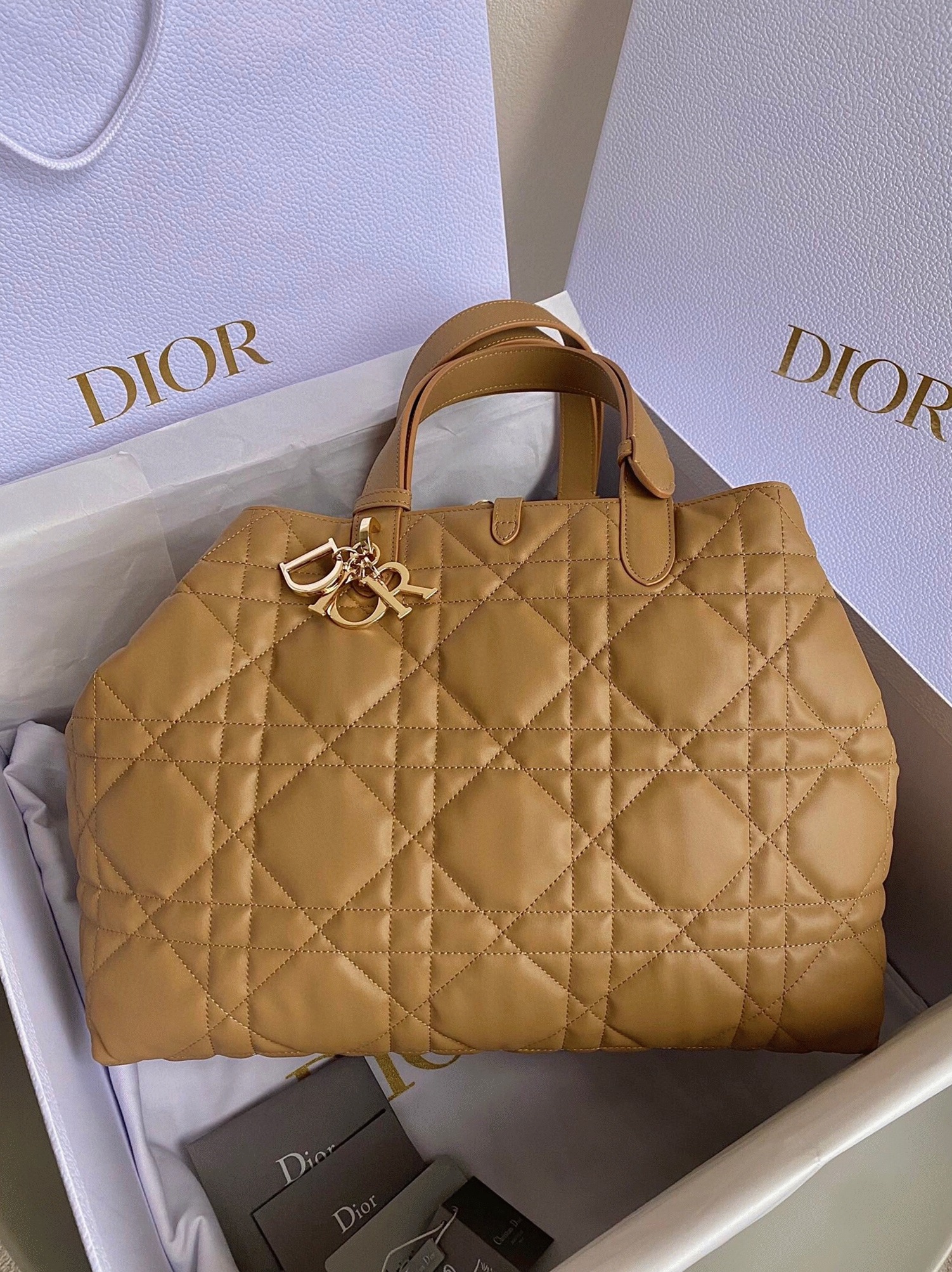 D10r Toujours Large Bag Fake in Brown Macrocannage Calfskin