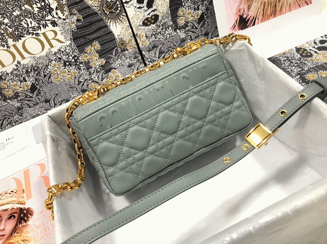 D10r Caro Small Bag Replica in Grey