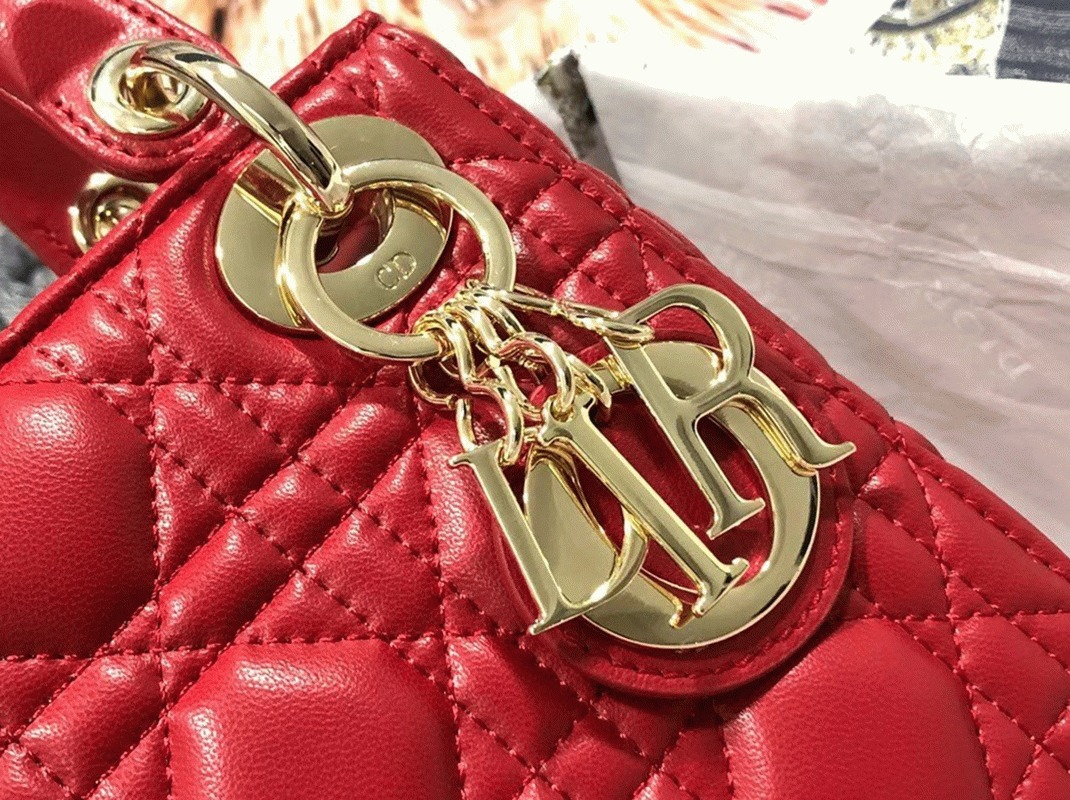 D10r Lady D10r Mini Bag Knockoff in Red