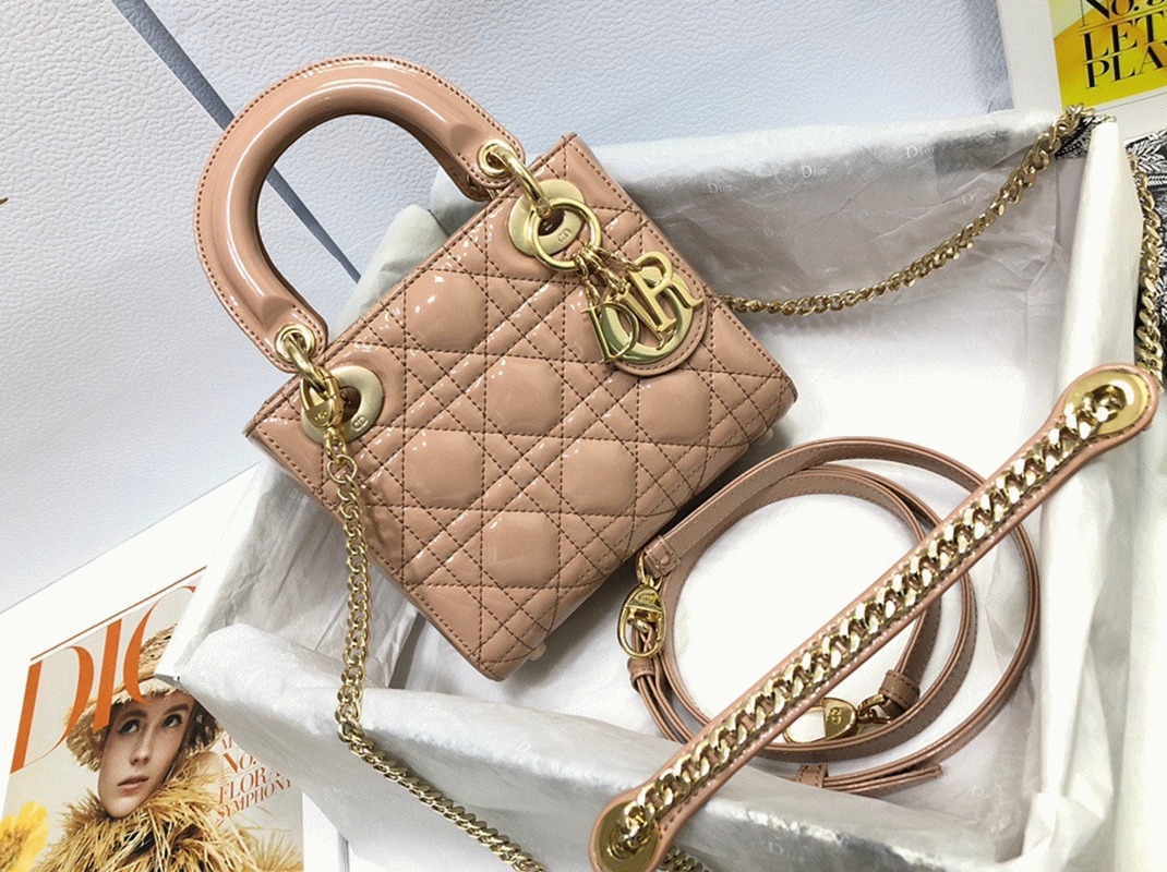 D10r Lady D10r Mini Chain Bag Fake in Nude