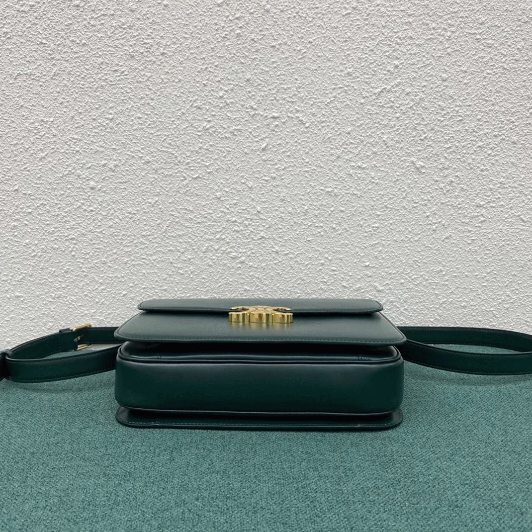 Amazone Color Ce1i*e Triomphe Large Knockoff Bag