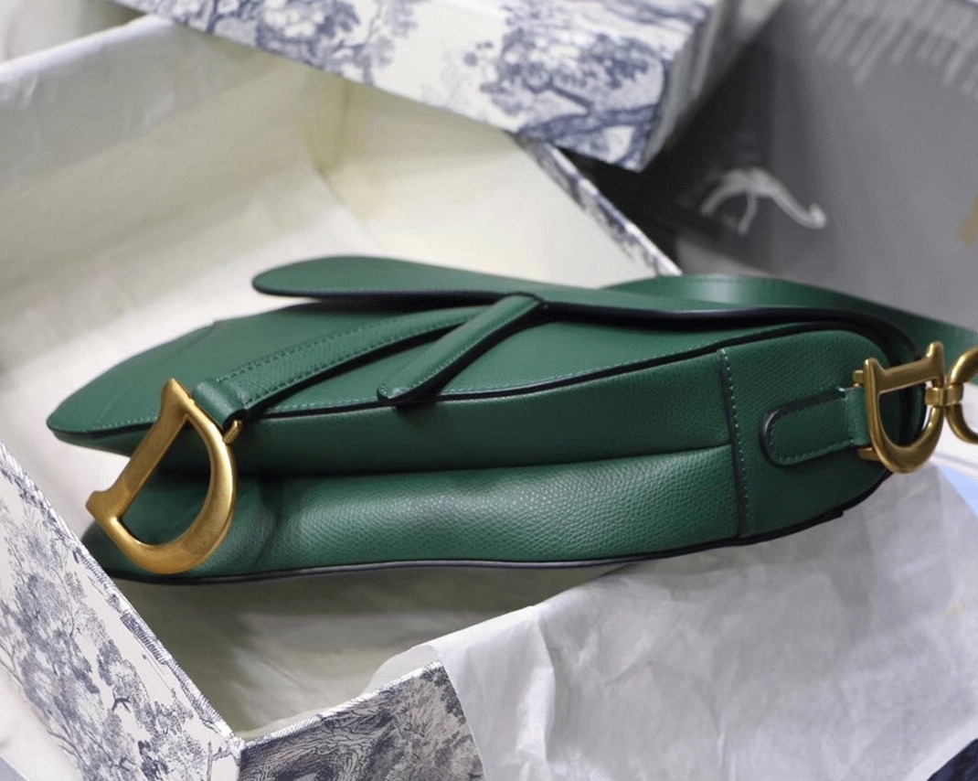 D10r Saddle Bag Faux in Green Grained Calfskin